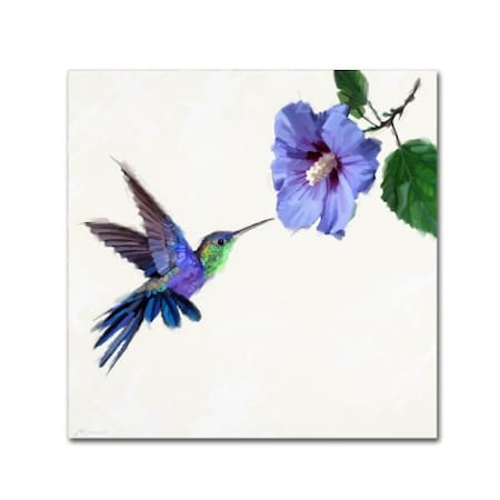 The Macneil Studio 'Humming Bird' Canvas Art,18x18